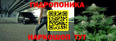 a pvp Волжский