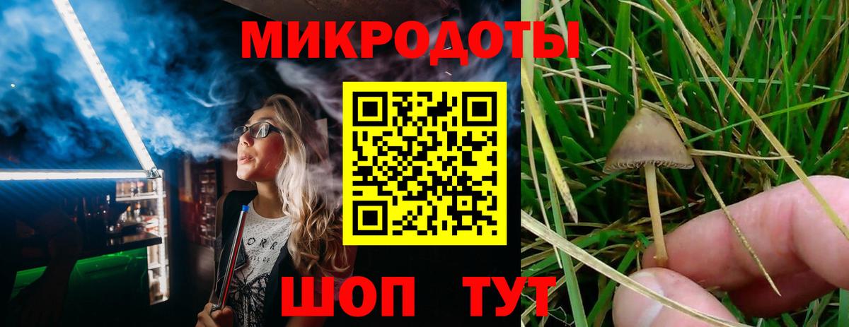 Галлюциногенные грибы ЛСД  Вход с VPN  Миллерово  Галлюциногенные грибы Psilocybine cubensis 